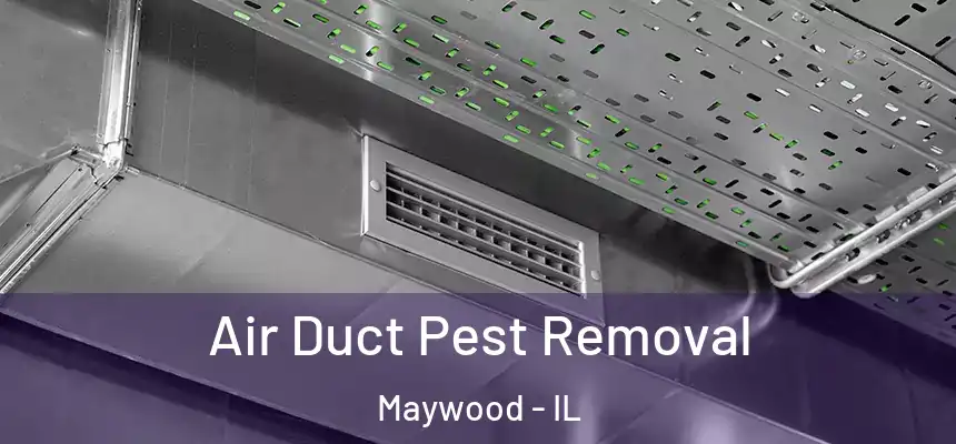 Air Duct Pest Removal Maywood - IL