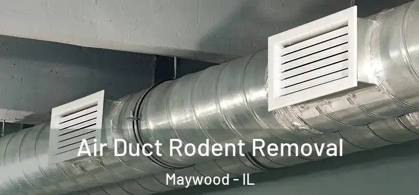 Air Duct Rodent Removal Maywood - IL