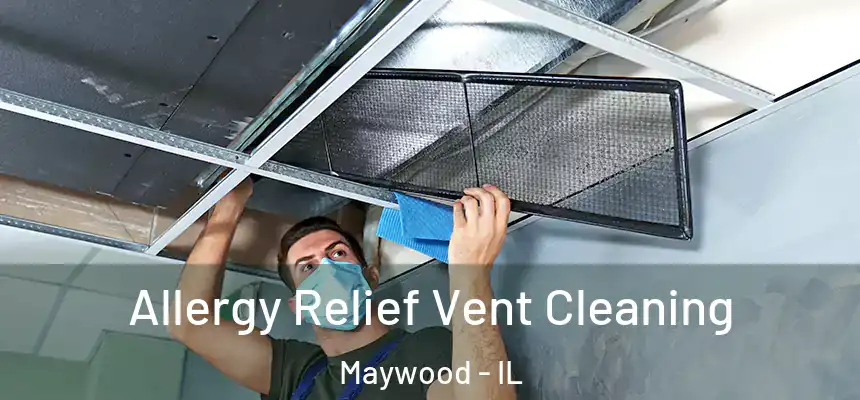  Allergy Relief Vent Cleaning Maywood - IL