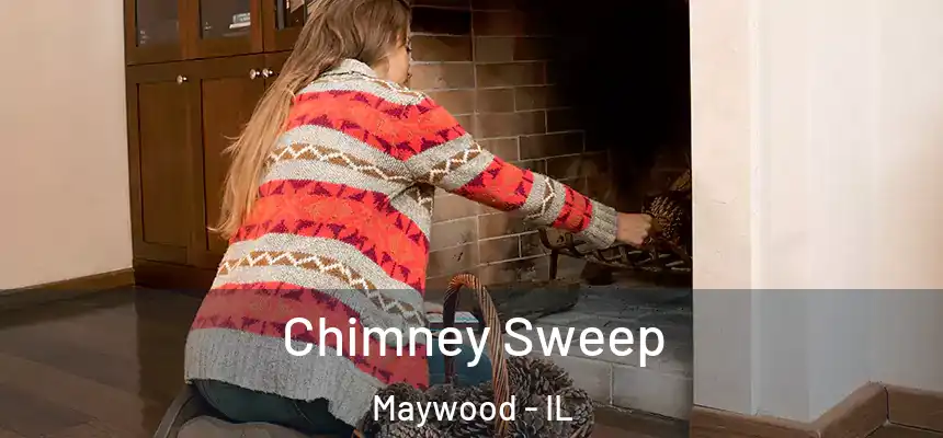  Chimney Sweep Maywood - IL