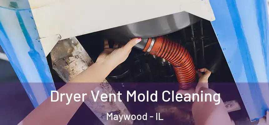 Dryer Vent Mold Cleaning Maywood - IL