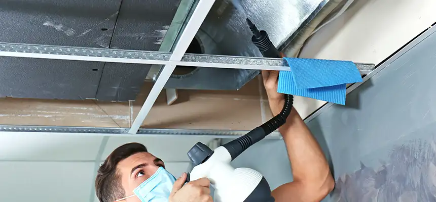 Our Air Duct Rodent Removal Services in Maywood, IL