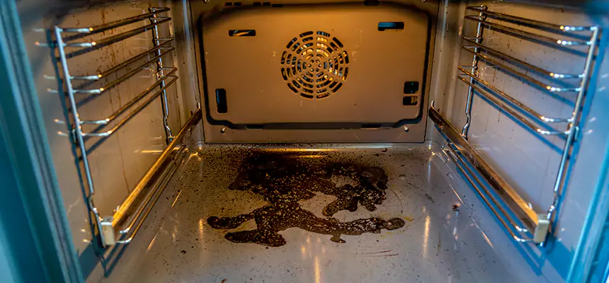 Our Dryer Vent Mold Cleaning Services in Maywood, IL