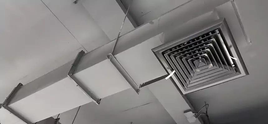 Our Rodent Droppings In Vents Services in Maywood, IL