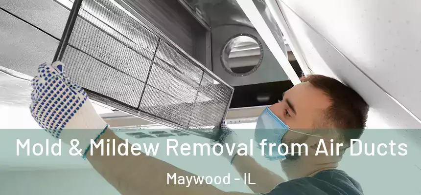 Mold & Mildew Removal from Air Ducts Maywood - IL
