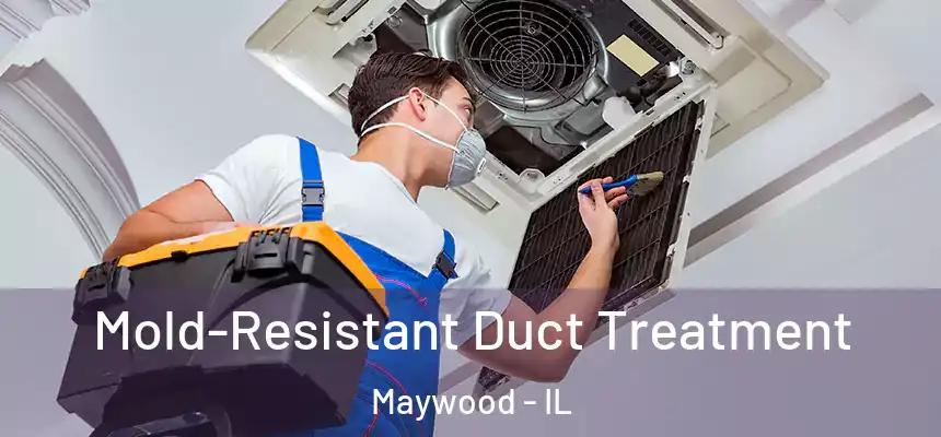  Mold-Resistant Duct Treatment Maywood - IL
