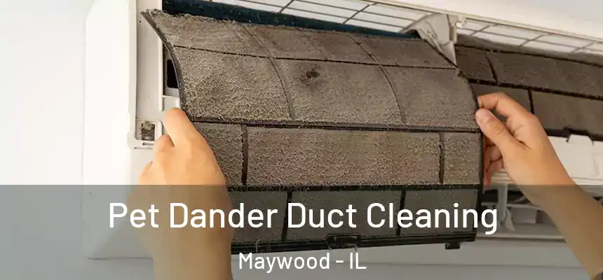 Pet Dander Duct Cleaning Maywood - IL