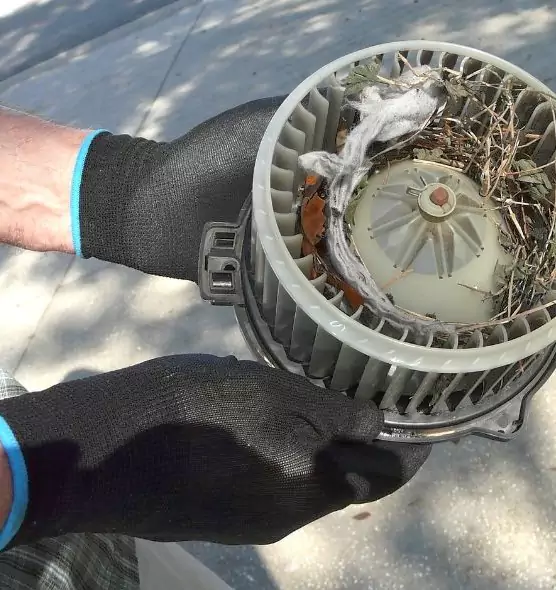 About Air Duct Rat Removal in Maywood, IL