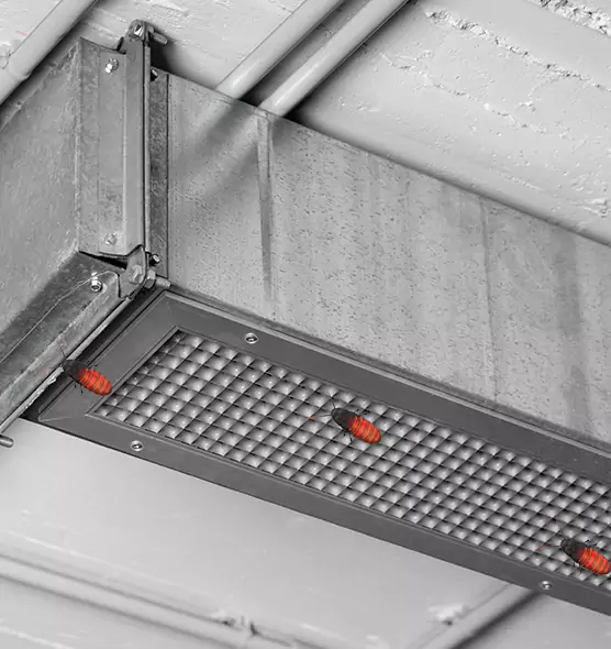 Affordable Insect Removal from Air Ducts in Maywood, IL