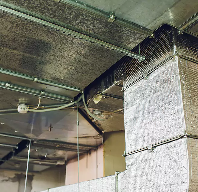 Why Homeowners & Businesses Trust Us in Maywood, IL?