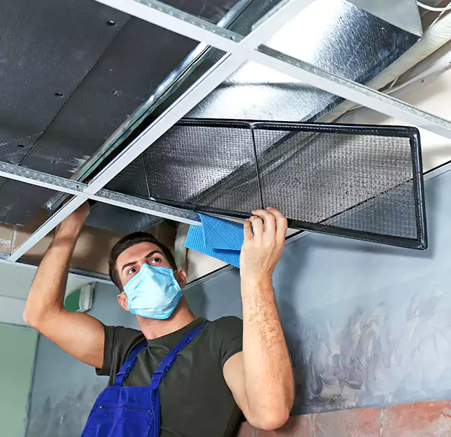 Why Homeowners Businesses Trust Us in Maywood, IL